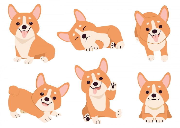 Vettore raccolta di corgi in molte azioni