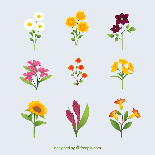 Raccolta di fiori estivi in ​​design piatto