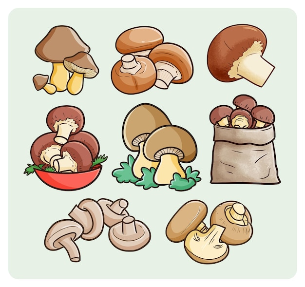 Raccolta di funghi gustosi in semplice doodle