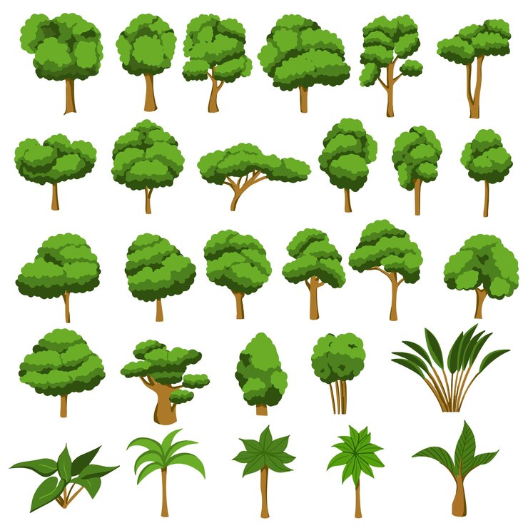 Raccolta di illustrazioni di alberi. Può essere utilizzato per illustrare qualsiasi argomento di natura o stile di vita sano