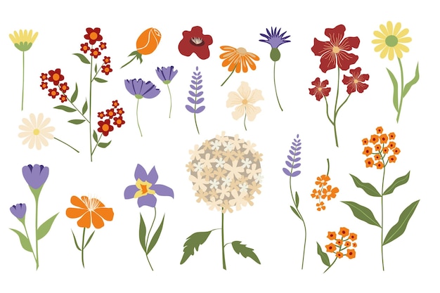 Raccolta di illustrazioni vettoriali fiori colorati per composizioni e design isolati su sfondo bianco Illustrazione di moda nel set di tendenza