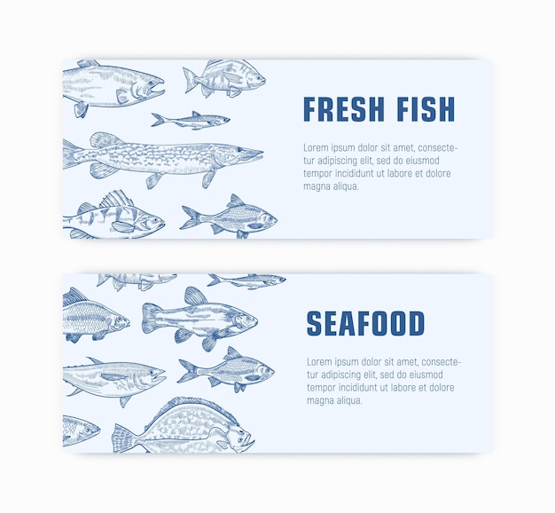 Raccolta di modelli di banner web monocromatico con pesce disegnato a mano con linee di contorno