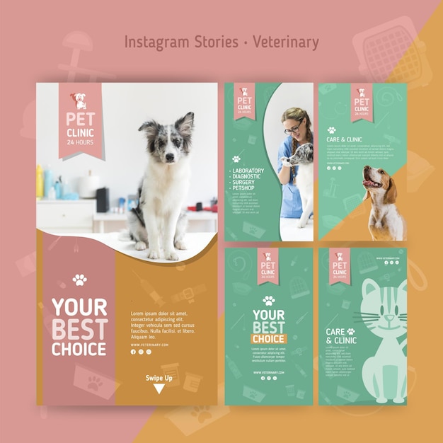 Raccolta di storie su Instagram per veterinaria