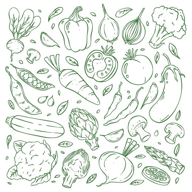 Vettore raccolta di verdure doodle disegnato a mano