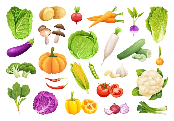 Vettore raccolta di verdure fresche in stile cartone animato