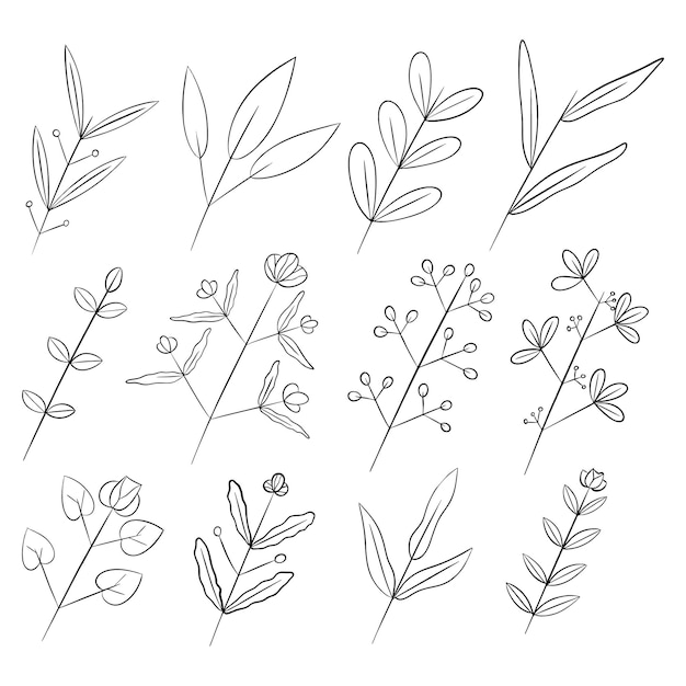 Raccolta foglie disegnate a mano