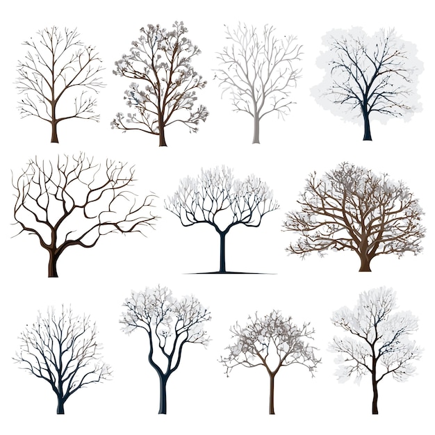 Raccolta vettoriale dell'albero invernale