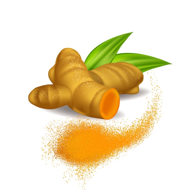 Radice di curcuma con foglie verdi isolate su sfondo bianco