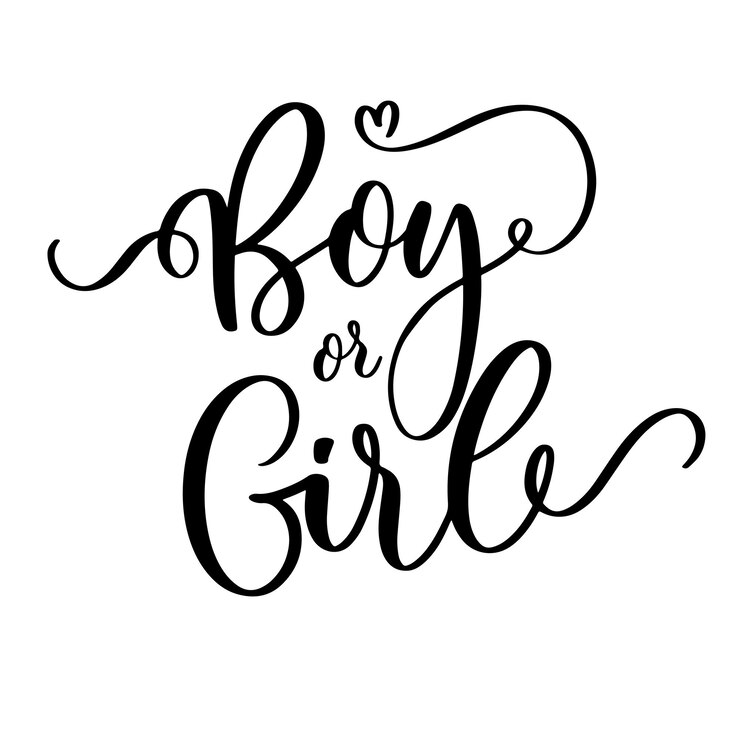 Vettore ragazzo o ragazza lettering per carta bambini album bambini ragazza festa di genere per un ragazzo e una ragazza