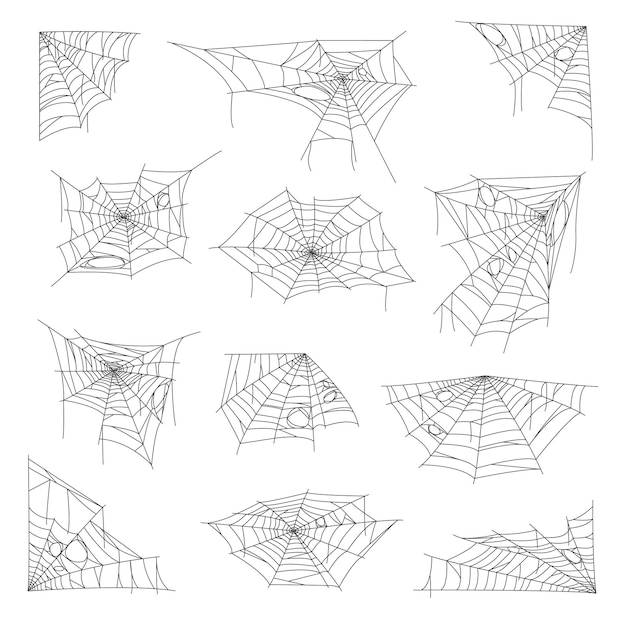 Ragnatela e ragnatela appiccicosa per le vacanze di Halloween