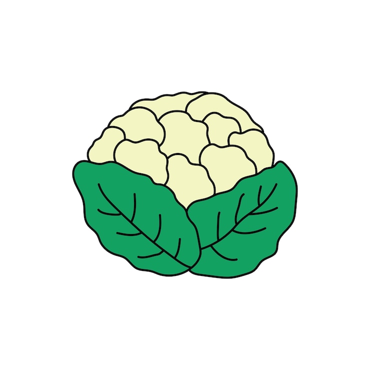 Vettore ragno cauliflower mascotte personaggio illustrazione vettoriale colore bambini cartoni animati clipart