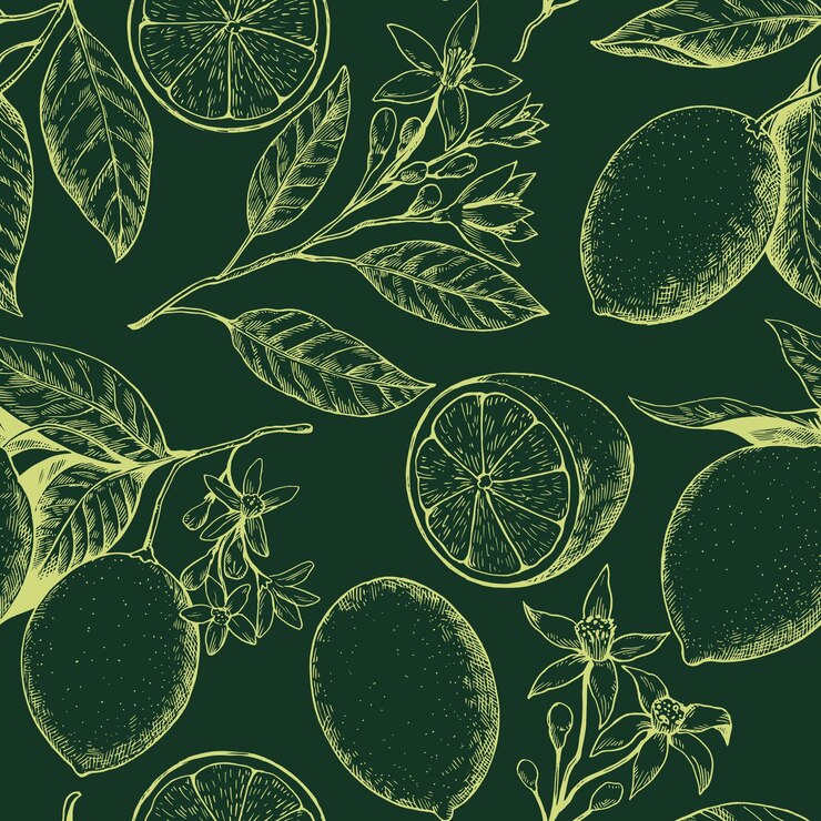 Rami di limone con frutta e fiori disegnati in stile incisione retro Illustrazione vettoriale