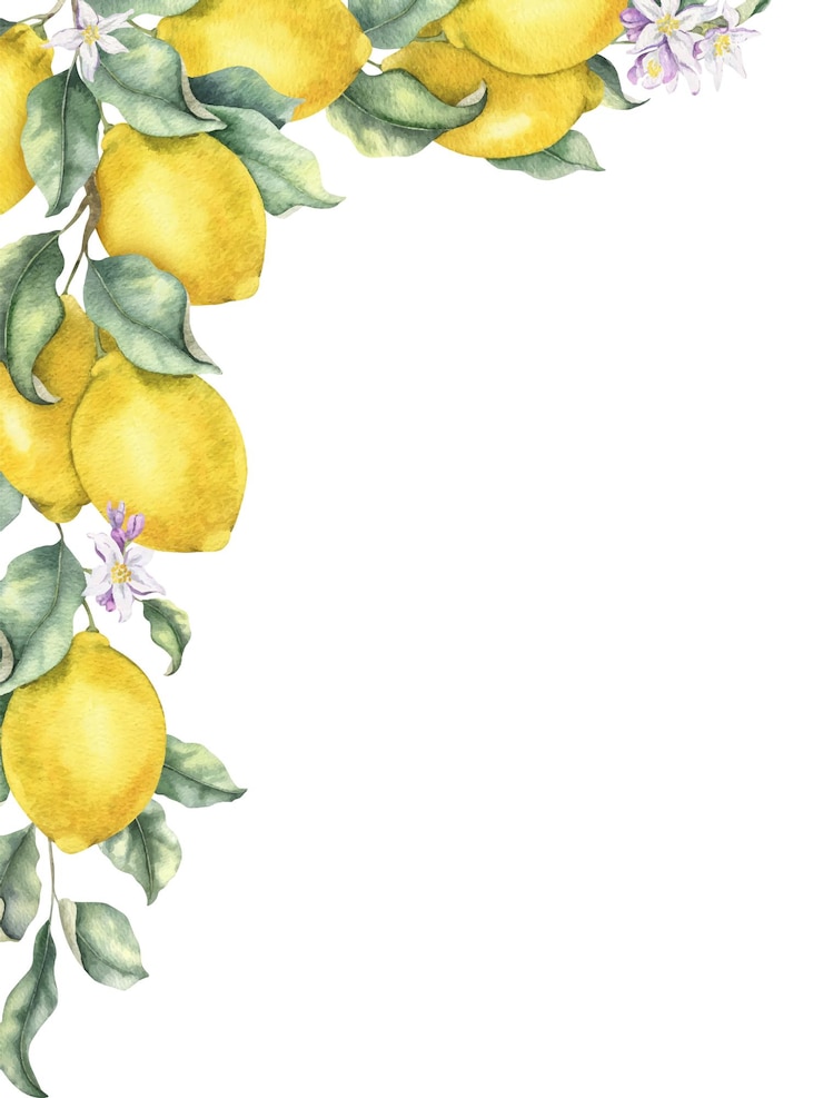 Vettore rami di limone con frutti fiori e foglie cornice ad acquerello disegnato a mano isolato agrumi tropicali modello per pacchetti di menu carte tessili cosmetici