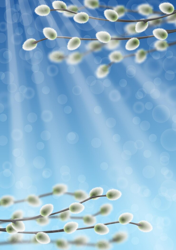 Vettore rami di salice sul cielo blu in una giornata di sole con effetto bokeh modello vettoriale con posto di testo