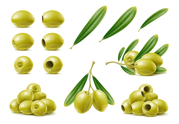 Rami e foglie di olive verdi crude realistiche