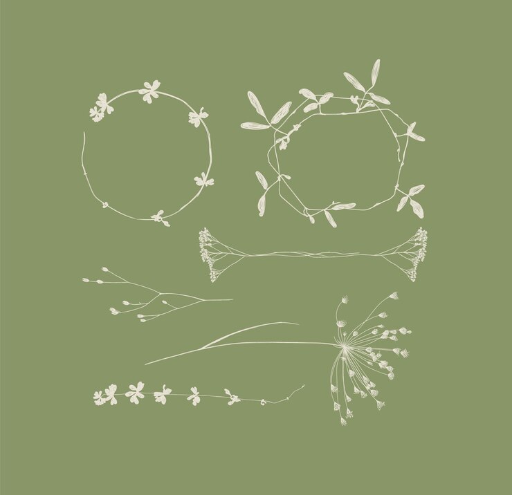 Vettore rami foglie e fiori silhouette verdi
