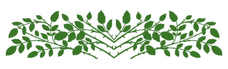 Vettore rami foglie verdi silhouette confine decorativa simmetria vettoriale illustrazione isolata su bianco