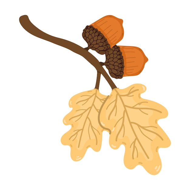 Ramo con foglie e due ghiande su uno sfondo bianco Illustrazione carina su un tema autunnale