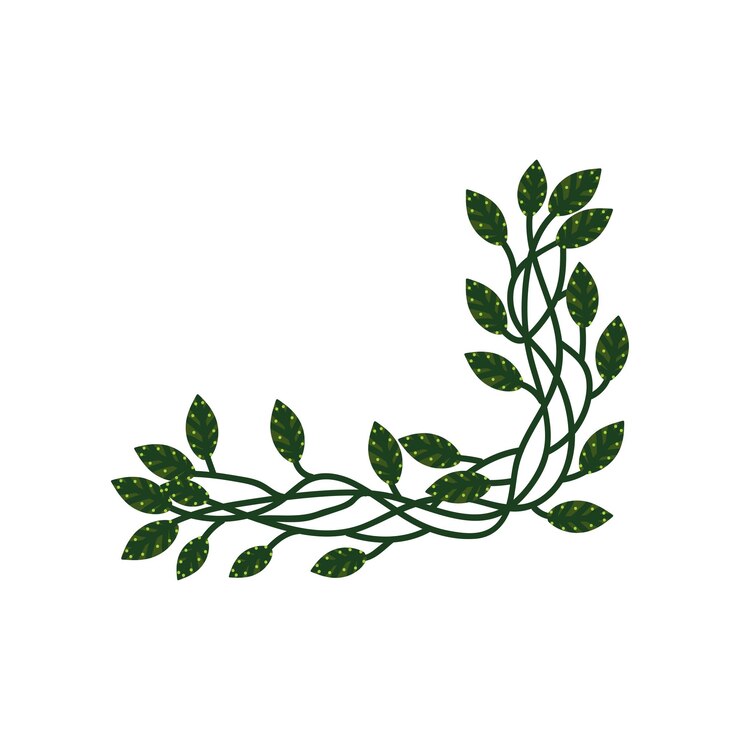 Vettore ramo con foglie verdi elemento di design naturale per l'invito al matrimonio salva la data cartolina di auguri poster citazione illustrazione vettoriale su sfondo bianco