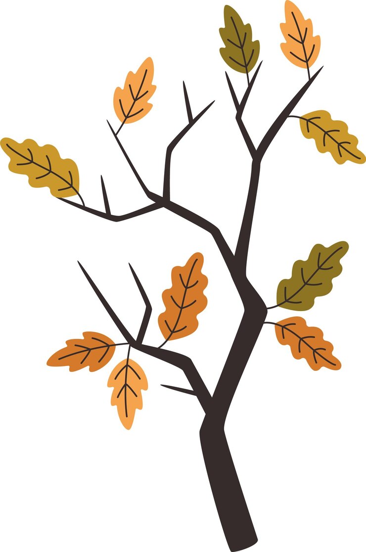 Vettore ramo di albero con foglie