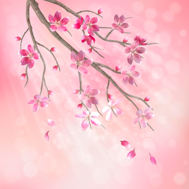 Ramo di albero di fiori di ciliegio di primavera con bellissimi fiori rosa