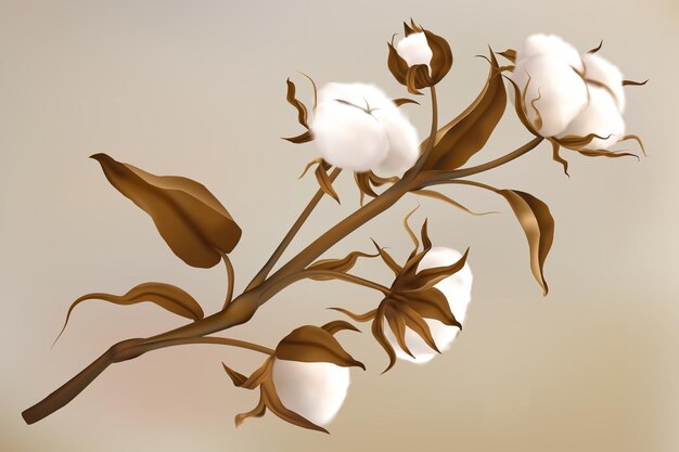 Ramo di cotone Elemento botanico realistico isolato per l'arredamento Pianta soffice con palle bianche morbide asciugate Imballaggio e elemento tessile Carte nuziali floreali Illustrazione 3D vettoriale