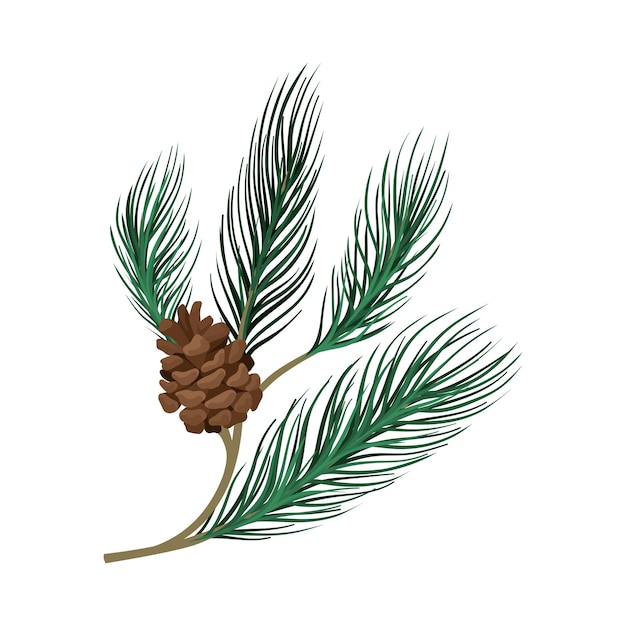 Ramo sottile di pino verde giovane con un grumo marrone illustrazione vettoriale