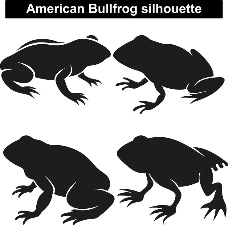 Vettore rana di toro americana