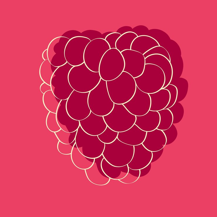 Vettore raspberry rosso su sfondo rosa
