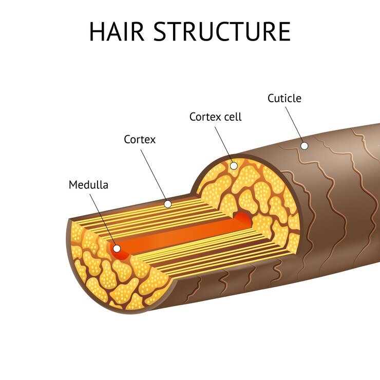 Vettore realistico dettagliato 3d struttura dei capelli ad poster card vector