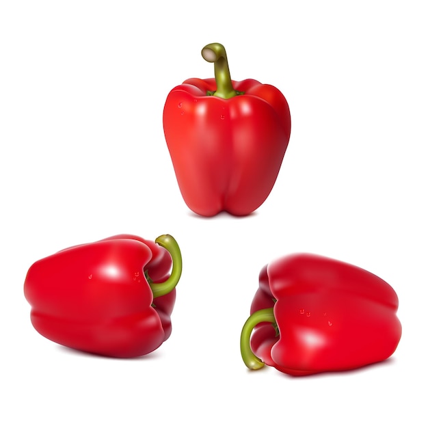 Red Bell Pepper Whole Realistic Vector Illustration Design