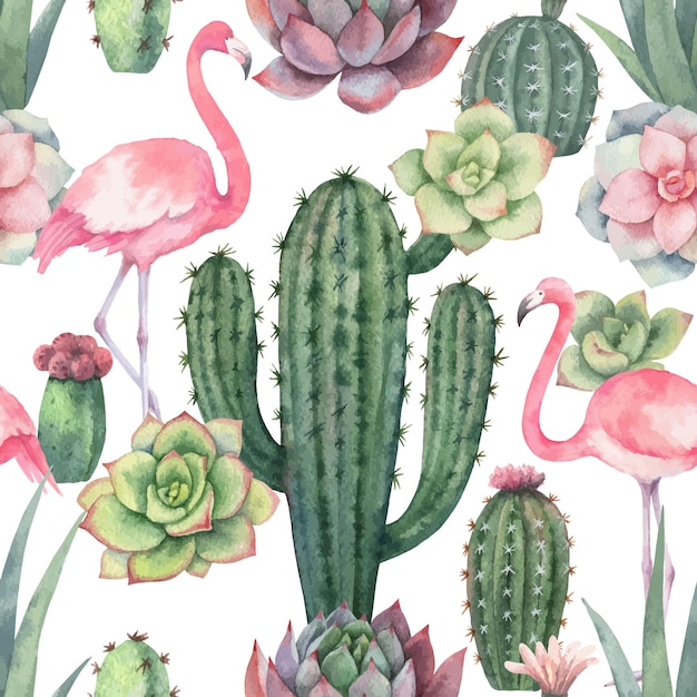 Reticolo senza giunte dell'acquerello di cactus fenicottero rosa e piante succulente isolate su priorità bassa bianca