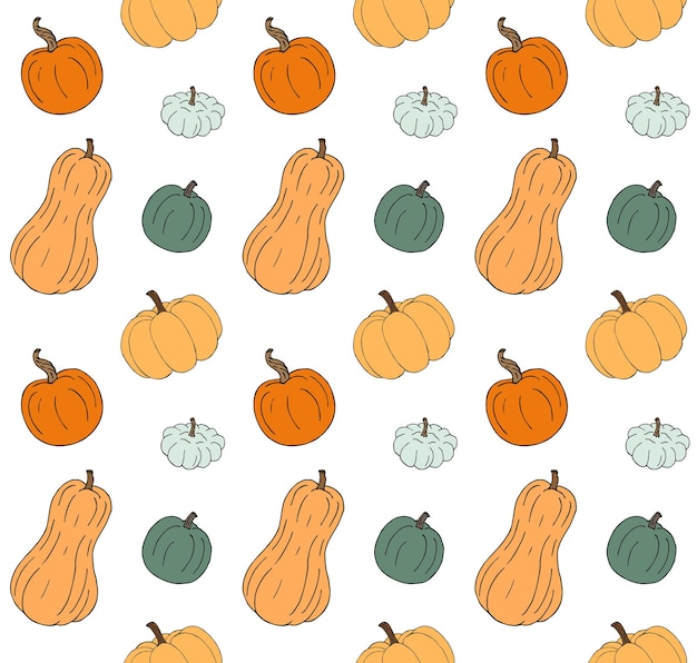 Reticolo senza giunte della zucca colorata