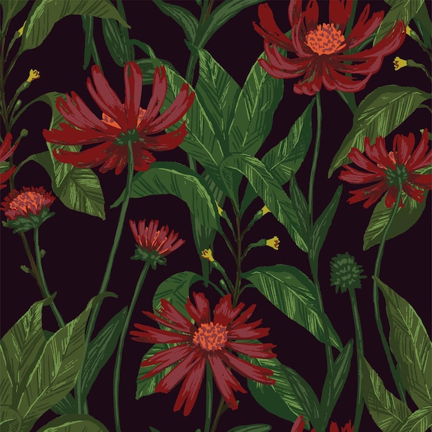 Reticolo senza giunte delle piante di cono fiore o echinacea. Illustrazione vettoriale disegnato a mano. Ornamento botanico di fiori di campo. Design vintage per sfondo, tessile, carta da parati.