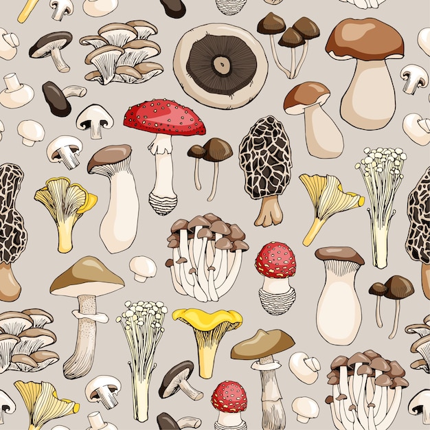 Reticolo senza giunte disegnato a mano di funghi e funghi