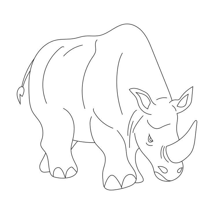 Rhino Clipart Cartoon Animali selvatici Clipart Set per gli amanti della fauna selvatica