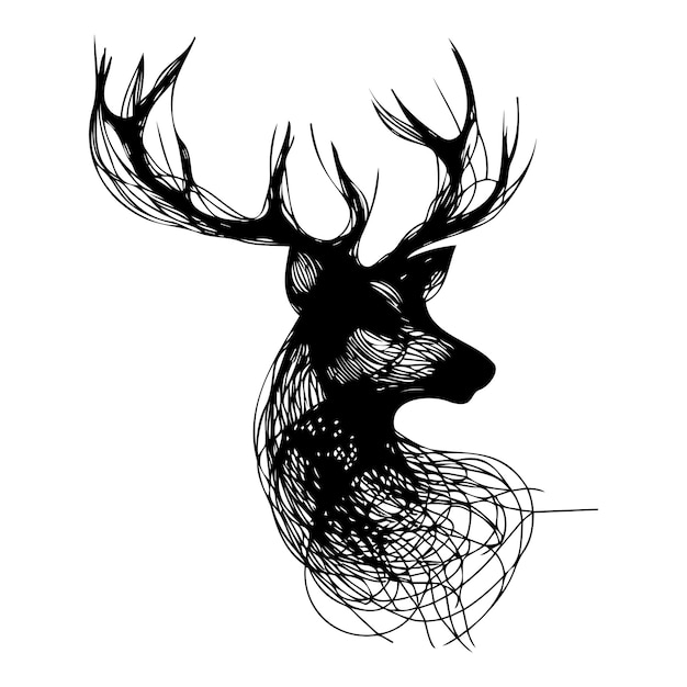 Riassunto deer_A