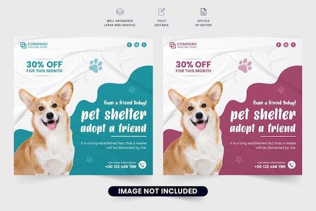 Rifugio per animali e adozione vettore di post sui social media con colori magenta scuro e blu oceano Modello di banner web per negozio di animali e toelettatura per il marketing Poster per l'adozione di animali domestici con forme astratte