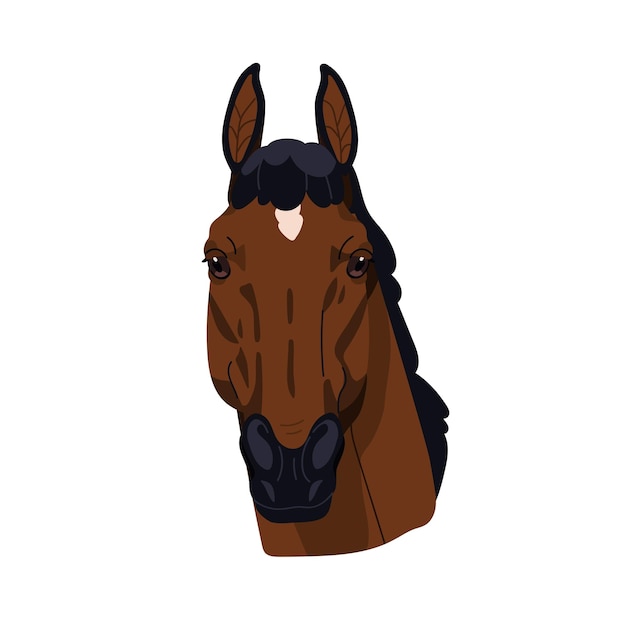 Ritratto della testa di una razza di cavalli Trakehner Bellissimo stallone di pura razza faccia vista anteriore Avatar di animale equino Holsteiner di razza pura Illustrazione vettoriale grafica piatta isolata su sfondo bianco