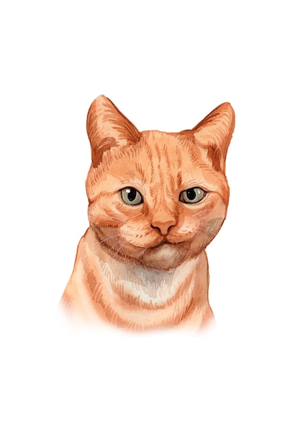 Ritratto di gatto dipinto a mano dell'acquerello