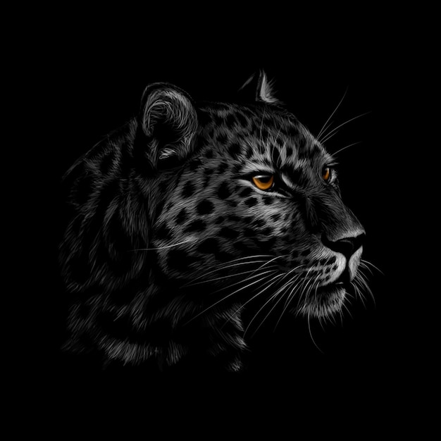 Ritratto di una testa di leopardo su sfondo nero. illustrazione