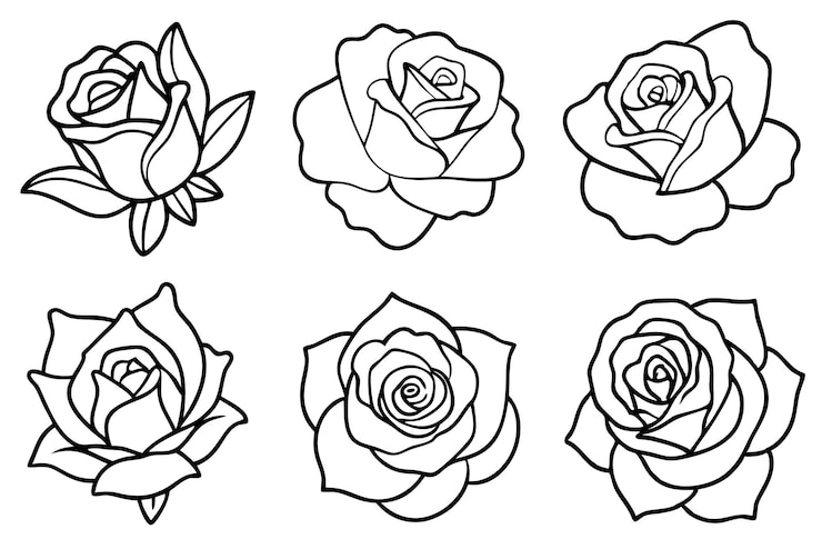 Vettore rosa linea art