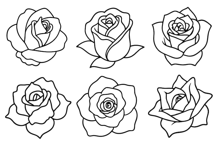 Vettore rosa linea art