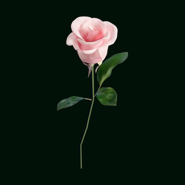 Rosa rosa realistica su sfondo nero