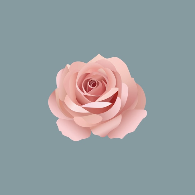 Rose è romantica.