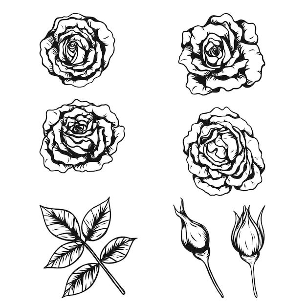 Rose ornamento tatuaggio a mano disegno