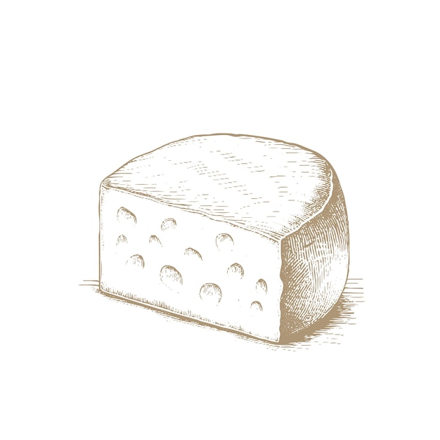 Rotella e pezzo di formaggio Gouda Schizzo a inchiostro isolato su sfondo bianco Illustrazione vettoriale disegnata a mano Disegno del tratto in stile vintage