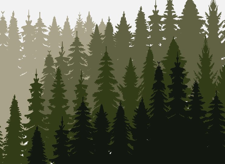 Vettore sagoma foresta natura abete design