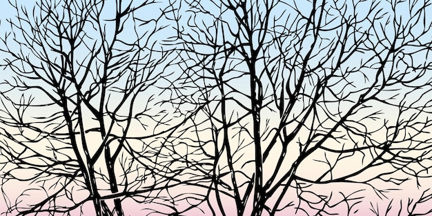 Sagome di rami di alberi disegnati sullo sfondo del cielo mattutino