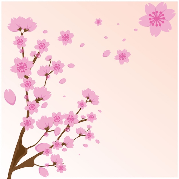 Sakura fiorisce il rosa su fondo rosa Vettore